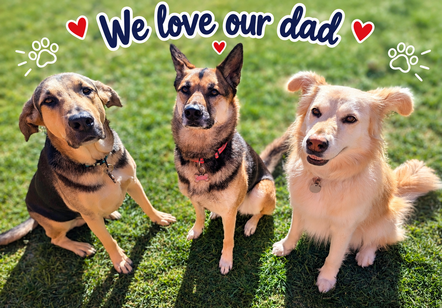 Gopal's Furry Kids - The Three Musketeers